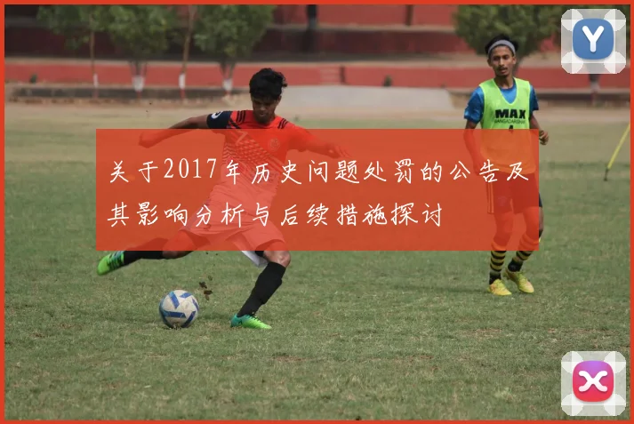 关于2017年历史问题处罚的公告及其影响分析与后续措施探讨