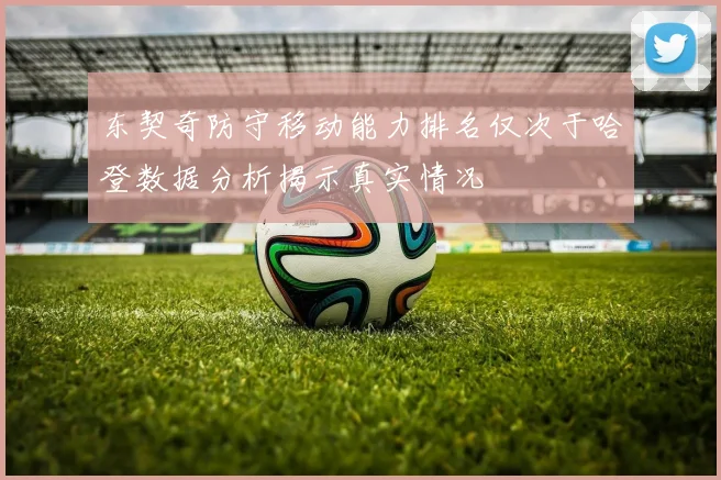 东契奇防守移动能力排名仅次于哈登数据分析揭示真实情况